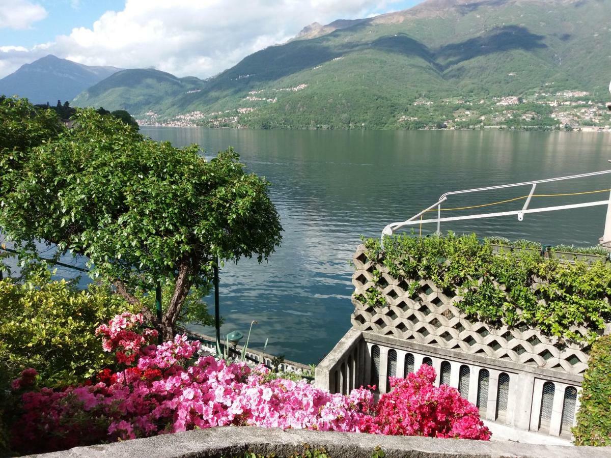 Villa Plinio Lago Di Como Дервио Экстерьер фото