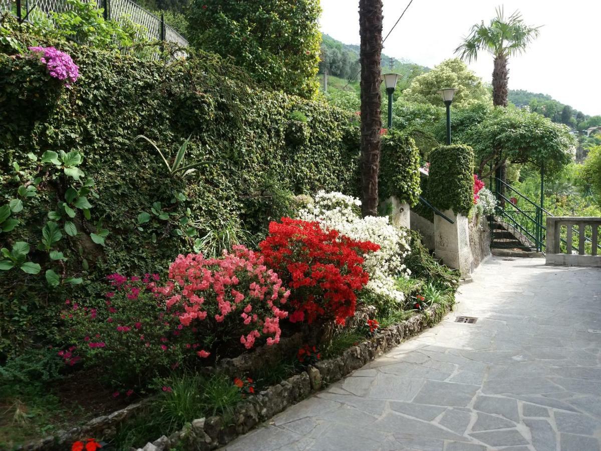 Villa Plinio Lago Di Como Дервио Экстерьер фото